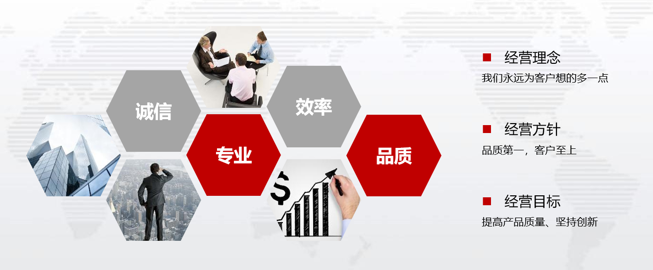 企业愿景(图1)